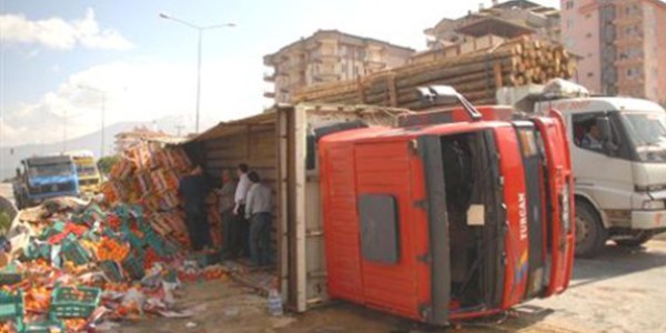 Kamyon devrildi, meyveler yola sa��ld�