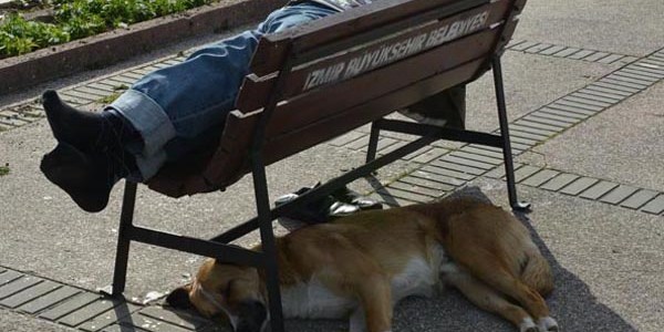 Yolda sızan adamın yanında uyudu