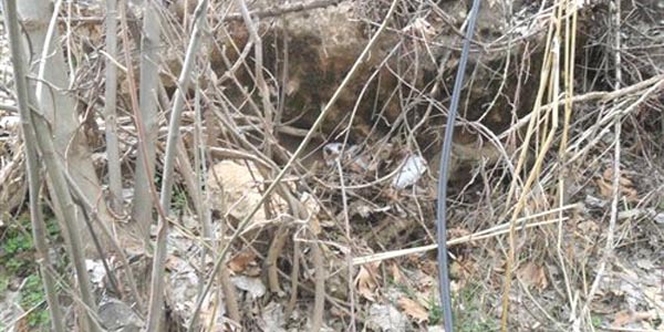 �emdinli'de PKK s���na�� bulundu