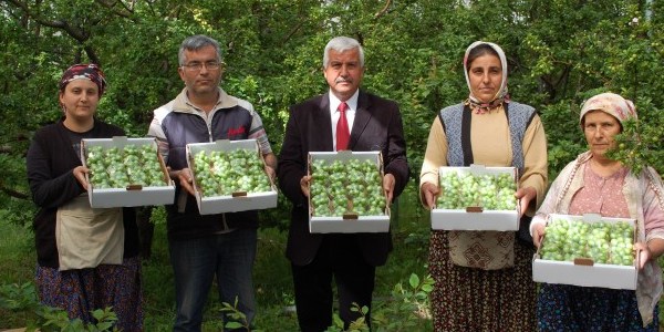 Can eriğinin kilosu 70 TL'den satışa çıktı