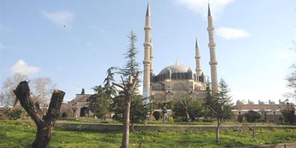 Selimiye Camii grntsn bozan aalar kesildi