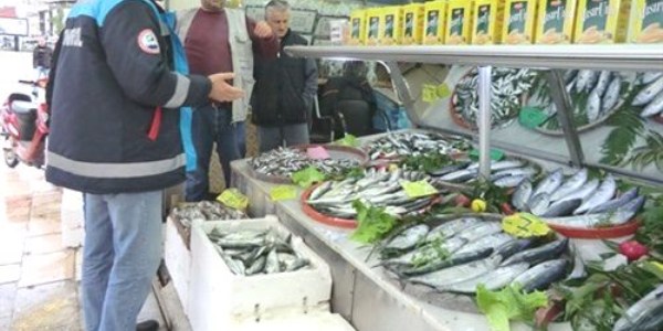 İç sularda av yasağı başladı