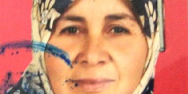 Domuz sürüsüne çarpan motosikletli çifti ölüm ayırdı