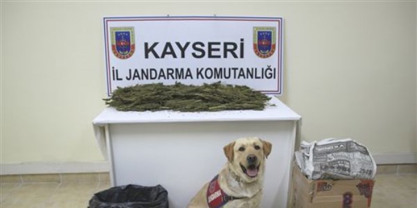 Yolcu otob�s�nde esrar ele ge�irildi