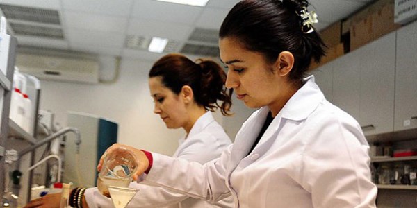 'Yenilikçi fikre' para desteği