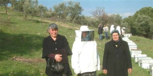 Burhaniye'de kadınlar da arıcı oldu