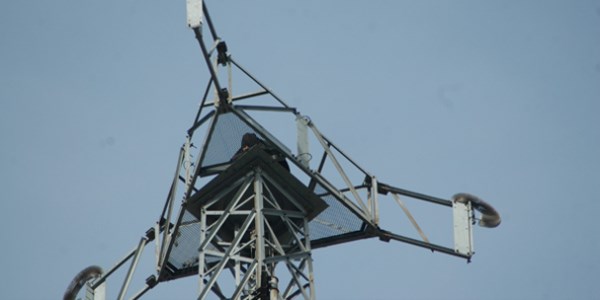 90 metrelik direkte 35 saattir ikna edilemiyor