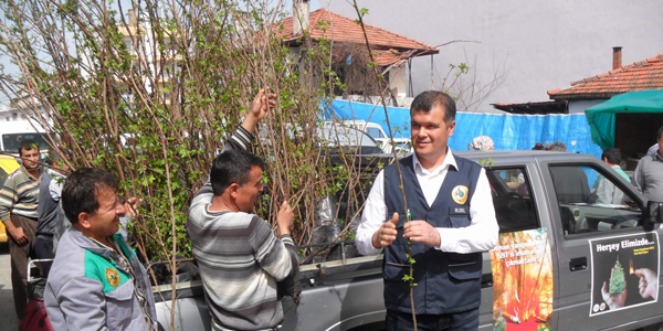 Ortaca ve Dalaman'da 6 bin fidan toprakla bulu�tu