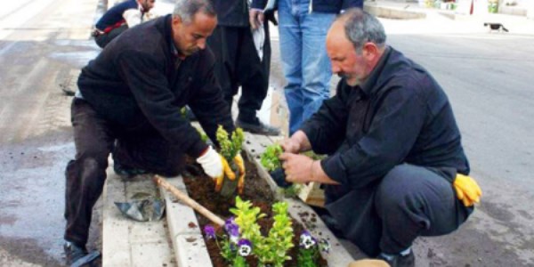 Belediyeler BİT'lendikçe istihdam arttı