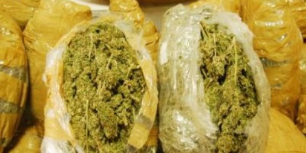 �anl�urfa'da uyu�turucu operasyonlar�