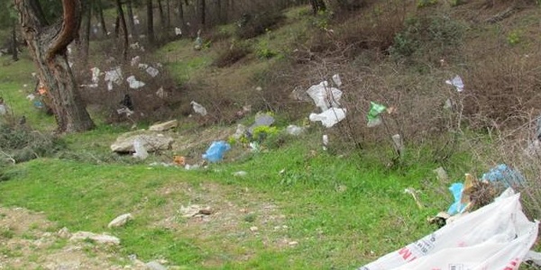 Lodos çöpleri ormanlık alana yığdı