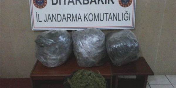Diyarbak�r'da 164 kilogram esrar ele ge�irildi