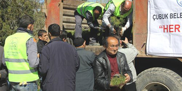 Çubuk'ta ücretsiz 8 bin fidan dağıtıldı