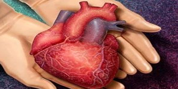 Organ nakli beklerken, organıyla hayat verecek