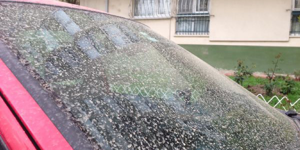 İstanbul'a çamur yağdı