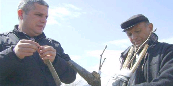 Kaman cevizi a��lama e�itimi veriliyor