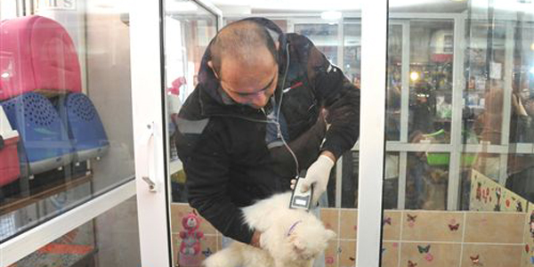 Pet- shoplarda hayvan satış yasağı