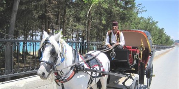 Van'da beş yıldızlı nikah törenleri