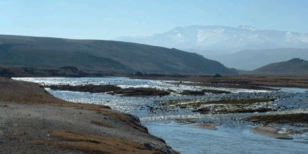 Murat Nehri'ne düşen araç