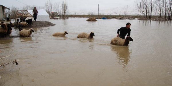 Yüksekova'da evler su altında kaldı