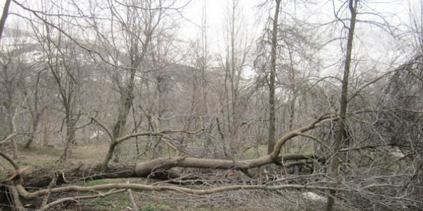 Kar kalkt� zarar� da ortaya ��kt�