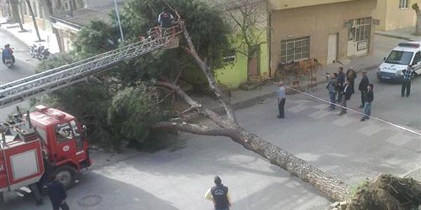 Nazilli'de facia ucuz atlat�ld�