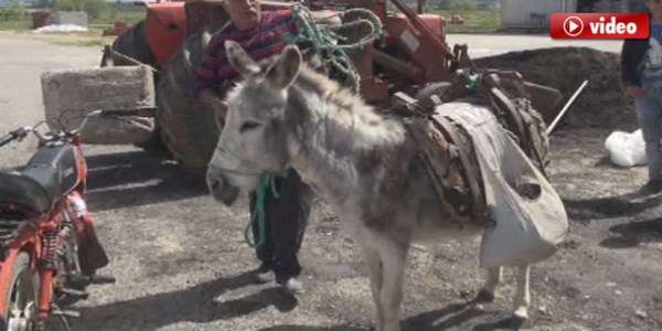 Eşekli asfalt çalışması