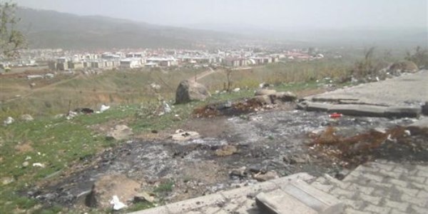 Bingöl Kent Ormanı harabeye döndü