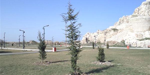 Van Belediyesi'nden yeşillendirme çalışması
