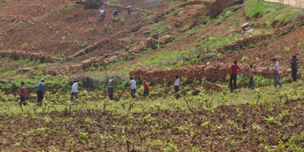 Cudi Dağı'nda Türkiye'yi değiştirecek piknik