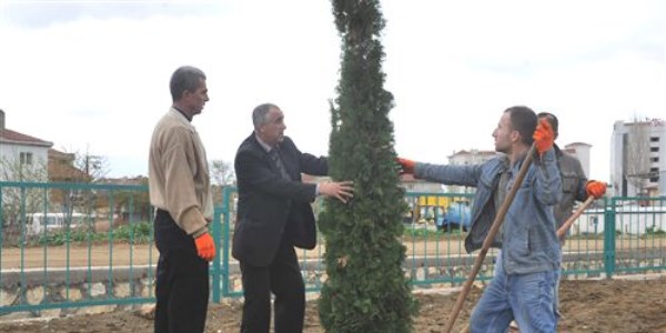 Cezalar�n� fidan dikerek �ekiyorlar