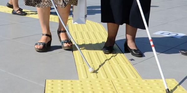 Ayl�klar� kesilen engelli ve ya�l� vatanda�lar say�n Ba�bakandan ��z�m bekliyor