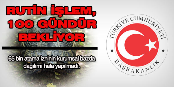 Rutin atama dağılımı işlemi 100 gündür bekliyor