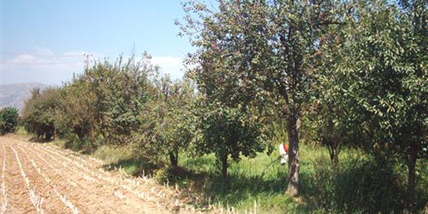 Arazi toplula�t�rmas�nda 3 yerle�im yerine daha onay ��kt�