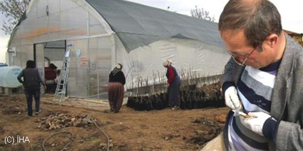 Kaman ilçesinde en büyük ceviz serası yapımı tamamlandı