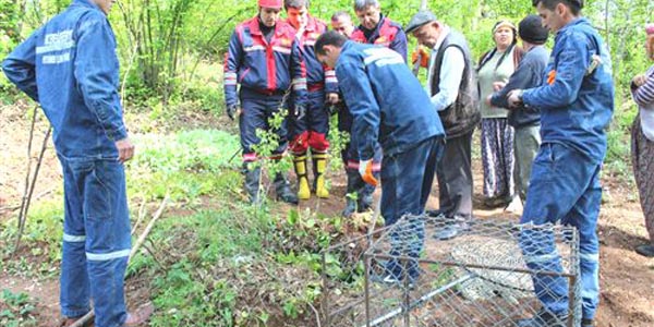 Kdz. Ereğli İtfaiyesinden domuz kurtarma operasyonu