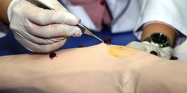 KKKA virüsüne karşı geliştirilen aşıda ilk aşama tamamlandı