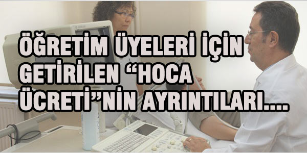 Profesrler iin getirilen hoca cretinin ayrntlar