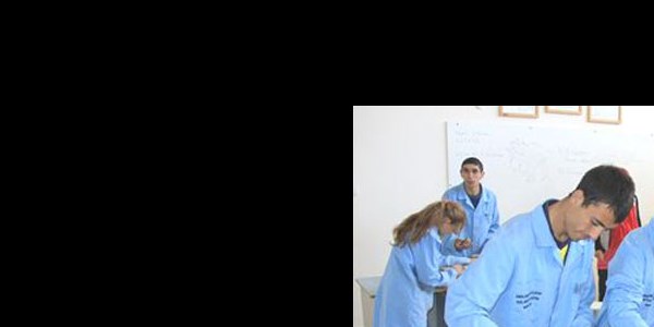 Zihinsel engelli öğrenciler mobilya fabrikası gibi üretim yapıyor