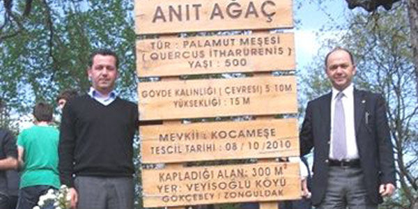 Gökçebey'deki Anıt ağacın ilk ziyaretçisi öğrenciler oldu