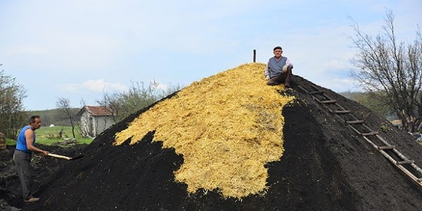 Mangal kömürü işçilerinin zorlu yaşamı