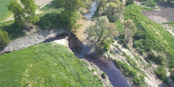 Ergene Nehri'nin ölümünü görüntüledi
