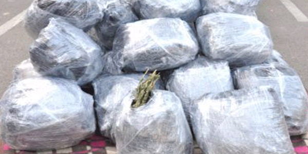 Mardin'de uyuşturucu operasyonları