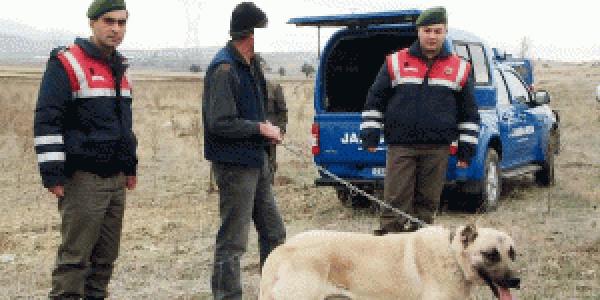 Kaçak kazıya suçüstü