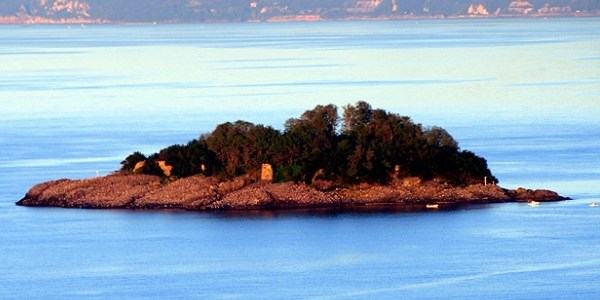 Giresun Adası iki aylığına kuşlara bırakılacak