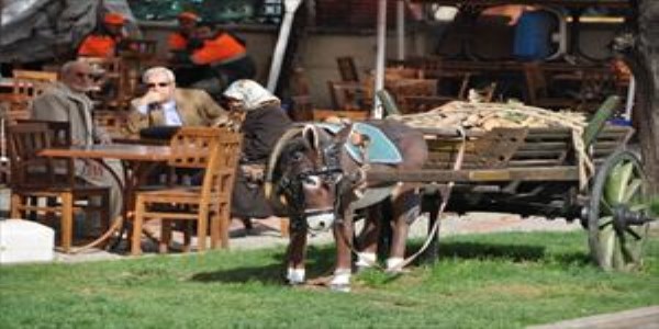 Odunpazarı meydanındaki at ve eşek heykelleri ilgi odağı