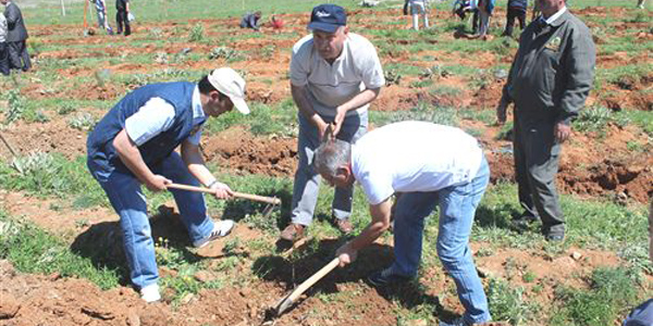 Beyşehir'de fidan dikme şenliği