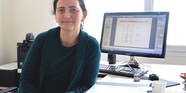 Çanakkale boğaz köprüsü uluslararası ölçekte bir proje