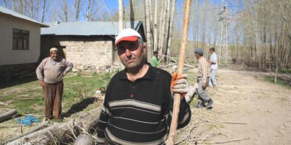 Minare yıkımı, ağaç kesenlere örnek oldu