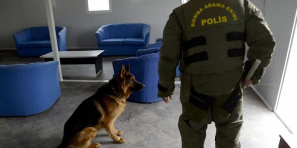 'Suçluların korkulu rüyası' özel eğitimli polis köpekleri/ Video
